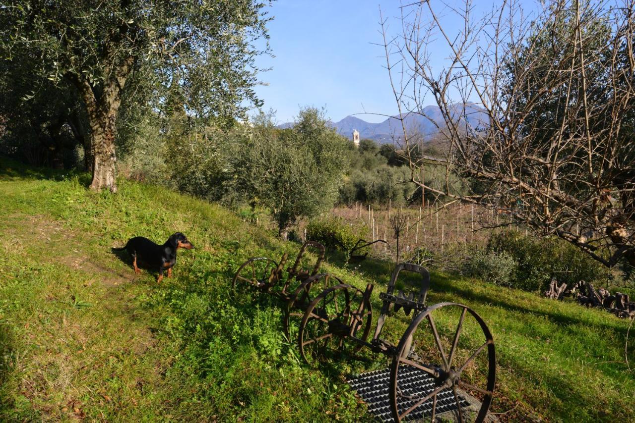Antiche Mura Casa Vacanze Puegnago Exteriér fotografie