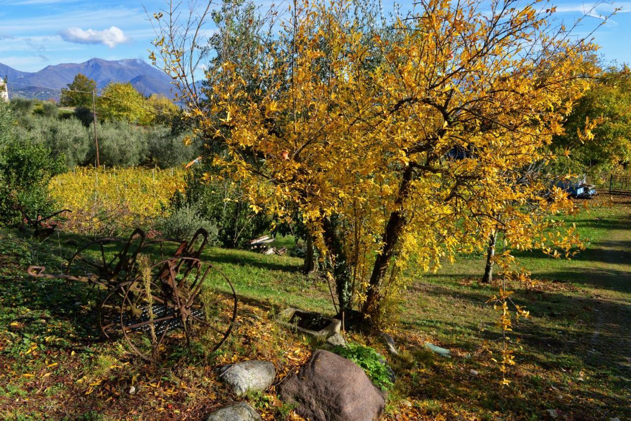 Antiche Mura Casa Vacanze Puegnago Exteriér fotografie